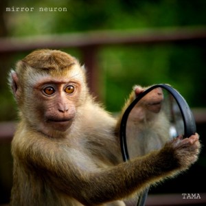 mirror-neuron