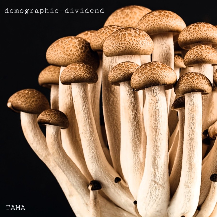 Demographic Dividend