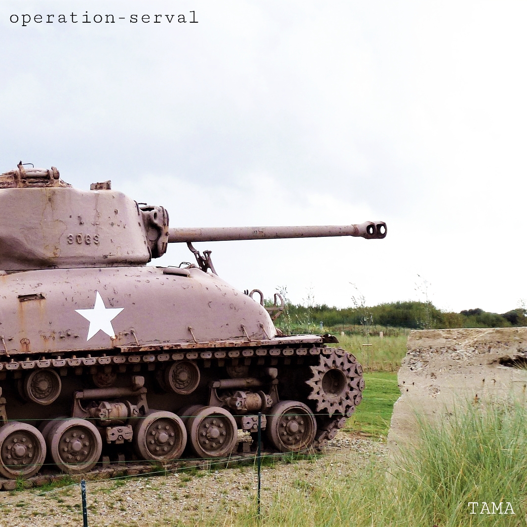 operation serval