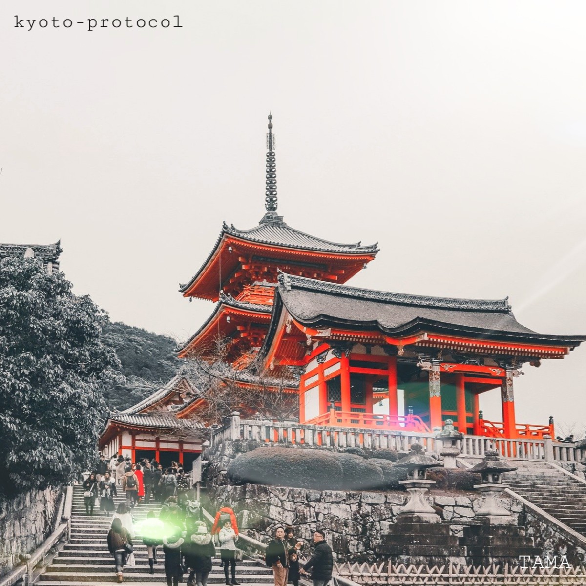 kyoto protocol