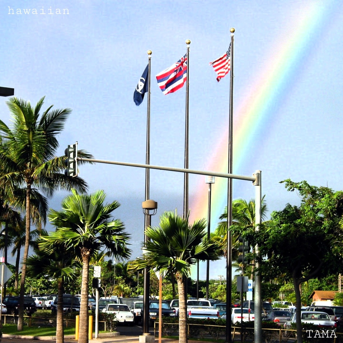Flag Day in hawaii