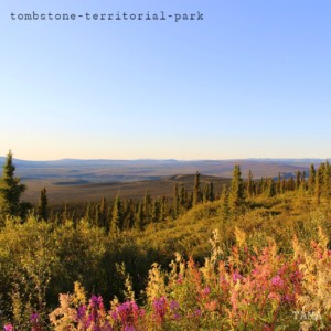 Tombstone Territorial Park